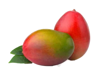 芒果 (21)水果超市商品白底图免抠实物摄影png格式图片透明底