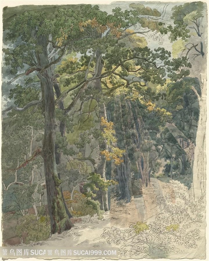 树林小路美景油画风景画