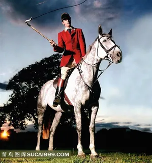 白马上的驯马员摄影衅骏马图片