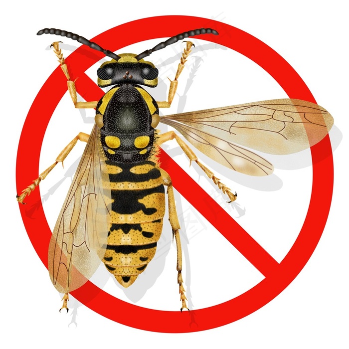 禁止害虫图片