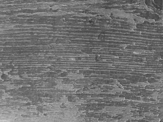 灰色背景图片下载