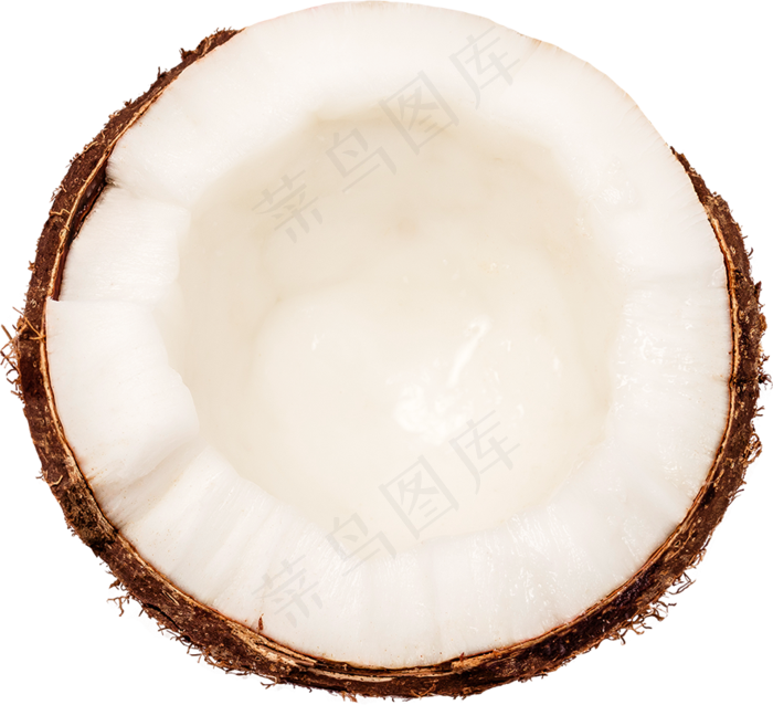 00_Coconut