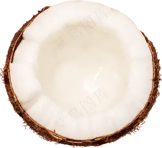 00_Coconut