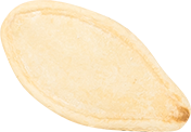 02_Pumpkin Seed