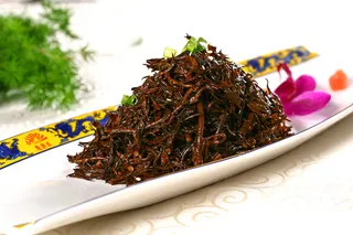 L01199东海长寿菜 (3)