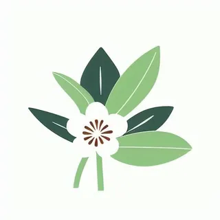 一朵花有绿叶环绕png免抠