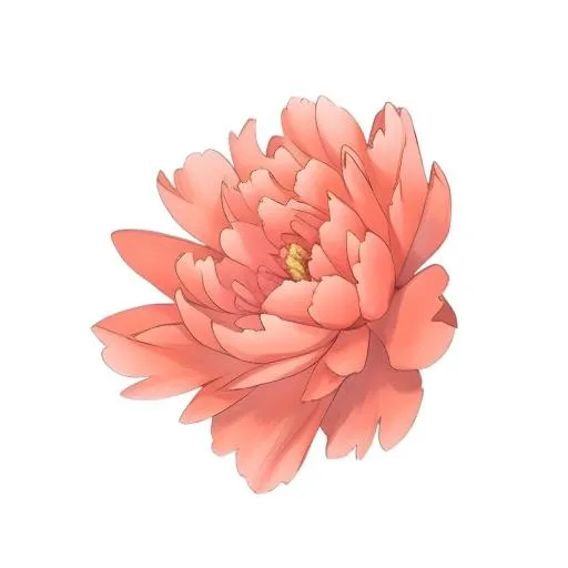 花牡丹花免抠(2048x2048)