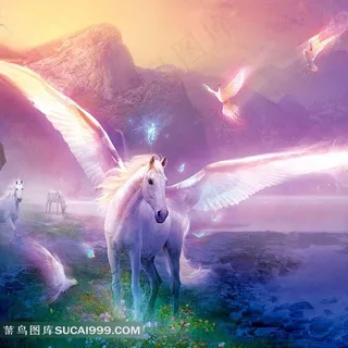 唯美飞马摄影图