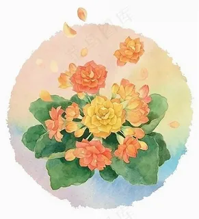 山茶花水彩画