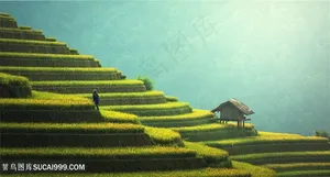 唯美梯田田园风光风景图片