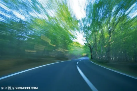 林荫大道-行驶中的动感的林荫公路