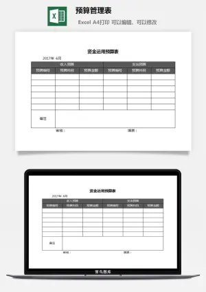 预算管理表