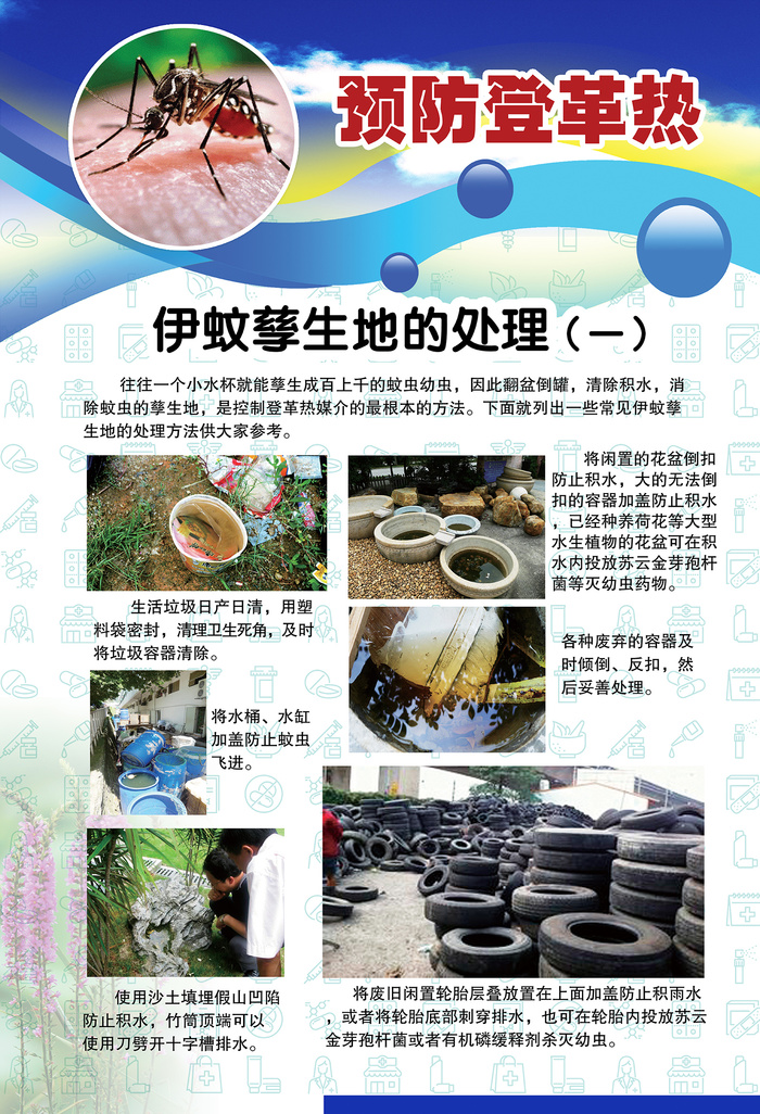预防登革热宣传系列挂图海报psd模版下载