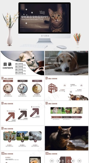 宠物主题PPT模板ppt模版预览图