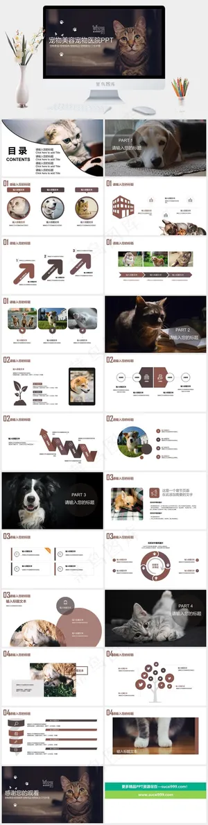 宠物主题PPT模板ppt模版预览图