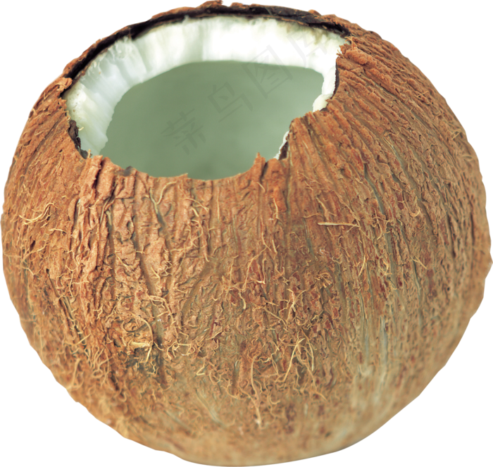 椰子免抠素材 (6)