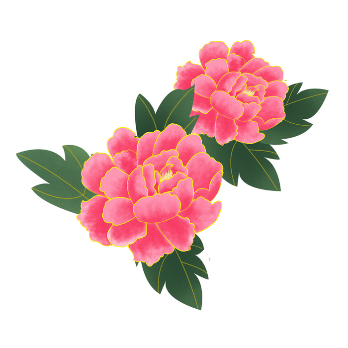 手绘国潮中国风古典牡丹花国花花卉装饰图案PSD设计素材