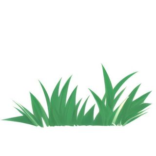 春天草丛绿叶免抠