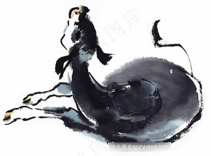 野生动物美图jpg素材