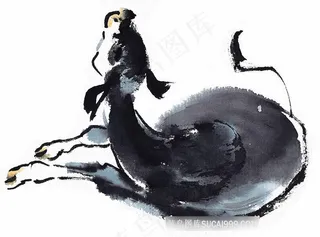 野生动物美图jpg素材