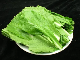  小白菜   