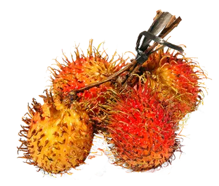 山货红毛丹水果