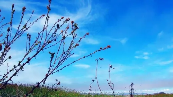 天空, 蓝色的, 景观, 自然, 夏天, 反射, 丰富多彩的