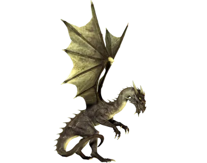 龙 飞龙火龙飞天龙喷火龙