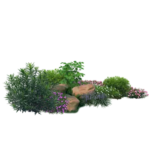 树木树枝树叶免扣素材