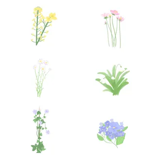 春季花草植物插画元素