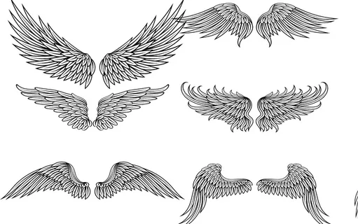 翅膀线条元素