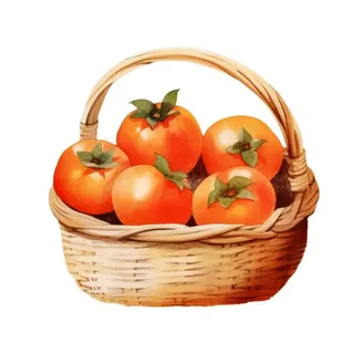 一篮柿子水果插画免抠