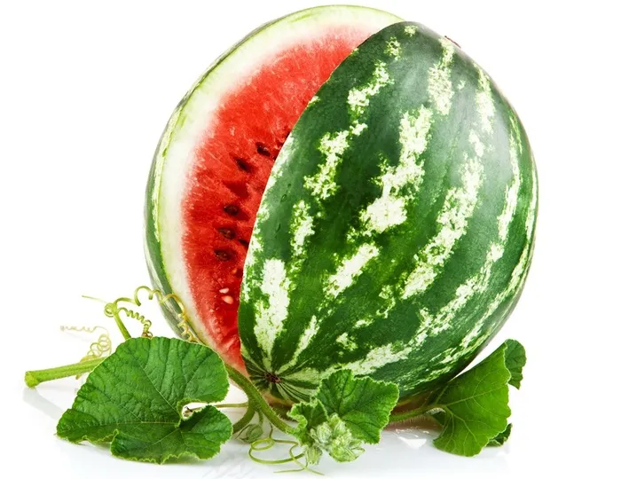唯美水果素食西瓜