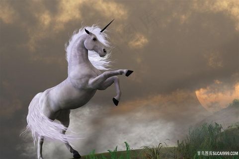 咆哮中的骏马图片