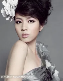 少女高清样片下载