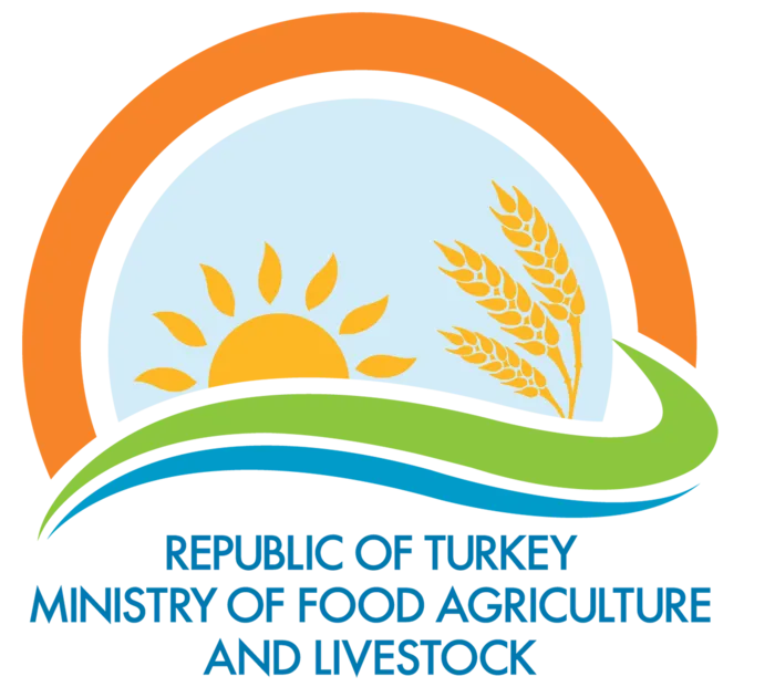 现代农业麦子太阳