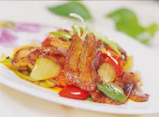 CXC04567四川回锅肉