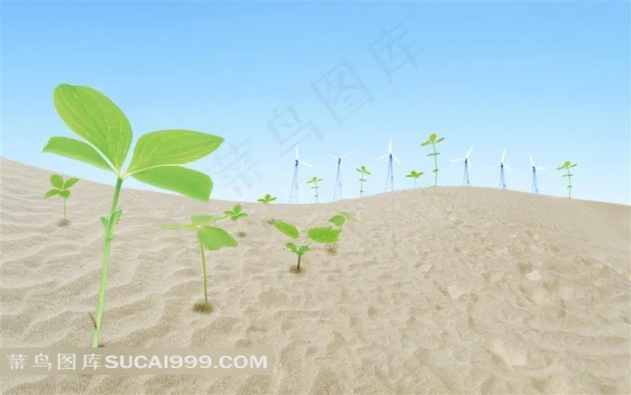 荒漠树木风力发电环保素材