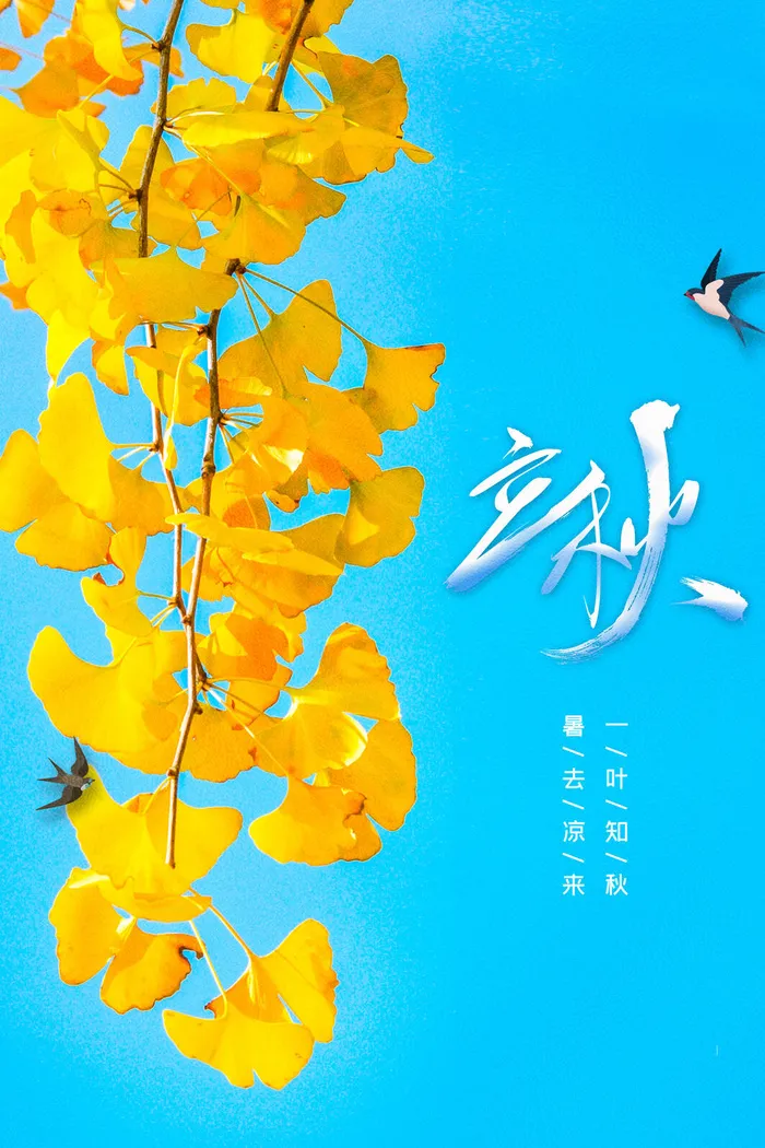 24节气立秋