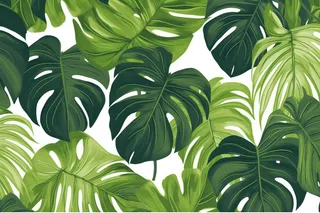 卡通插画龟背竹绿植背景