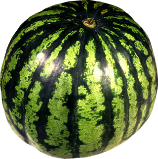 西瓜实物图免抠