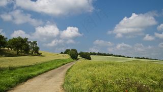 夏季乡村田园图片