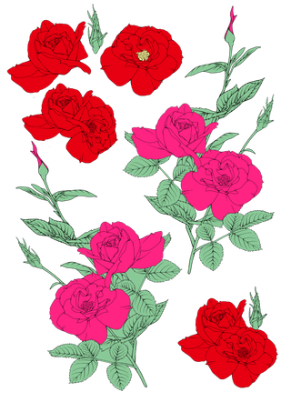 鲜花玫瑰免扣素材