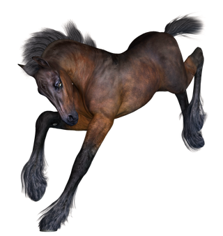 马动物免扣素材透明背景野马