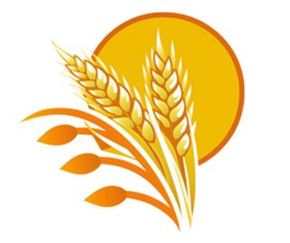 小麦麦穗金黄免抠