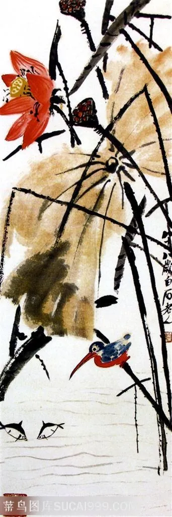 国画名家作品-齐白石的荷花 水鸟