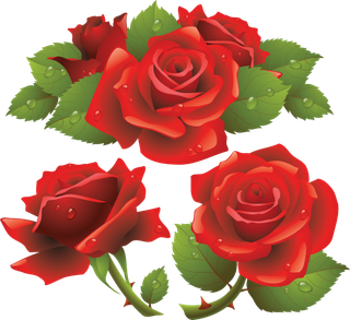 鲜花玫瑰免扣素材