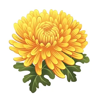 黄色手绘菊花免抠