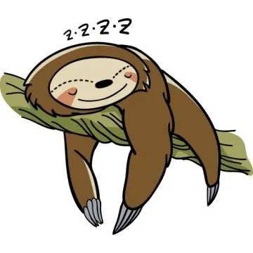树懒 PNG免抠(360x360)