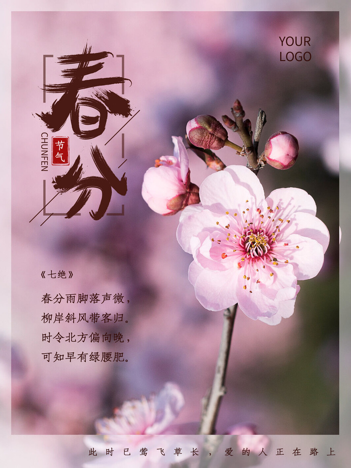 春分二十四节气传统中国风插画高清活动海报展板PSD模板素材